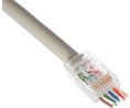 Modularer Steckverbinder, Stecker, RJ45, CAT5e, Gerade, Positionen - 8, Anzahl Kontakte - 8, Ungeschirmt, Packung à 100 Stück